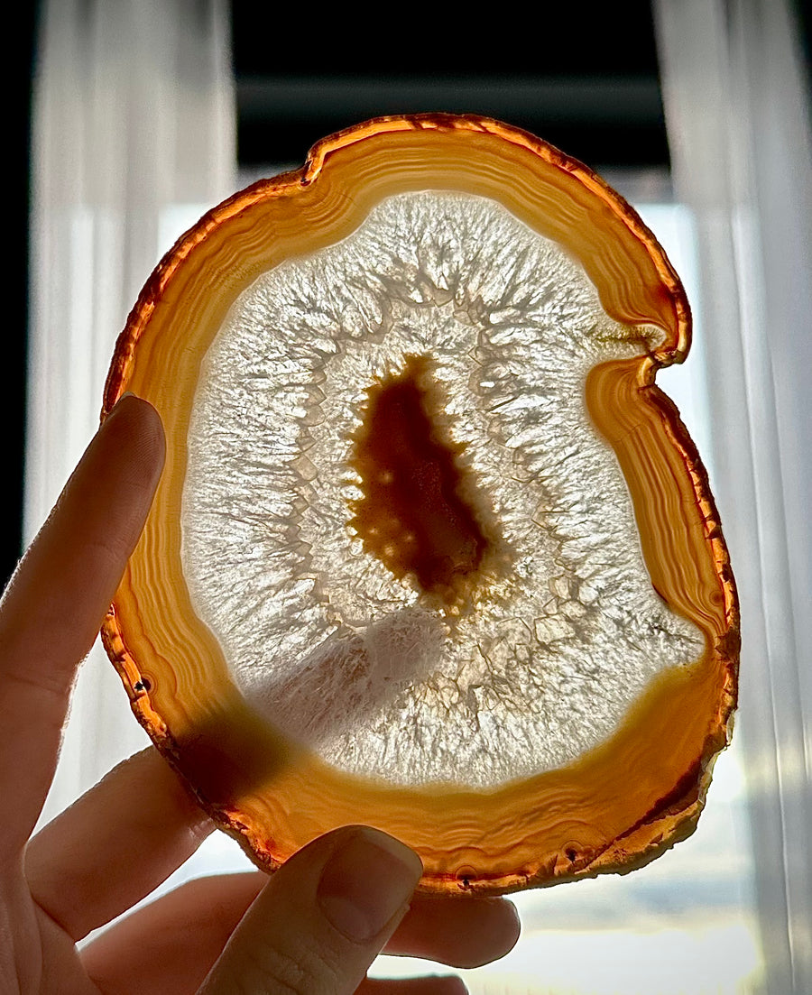 Brazilian Colorful Agate Slices (5 Pack)