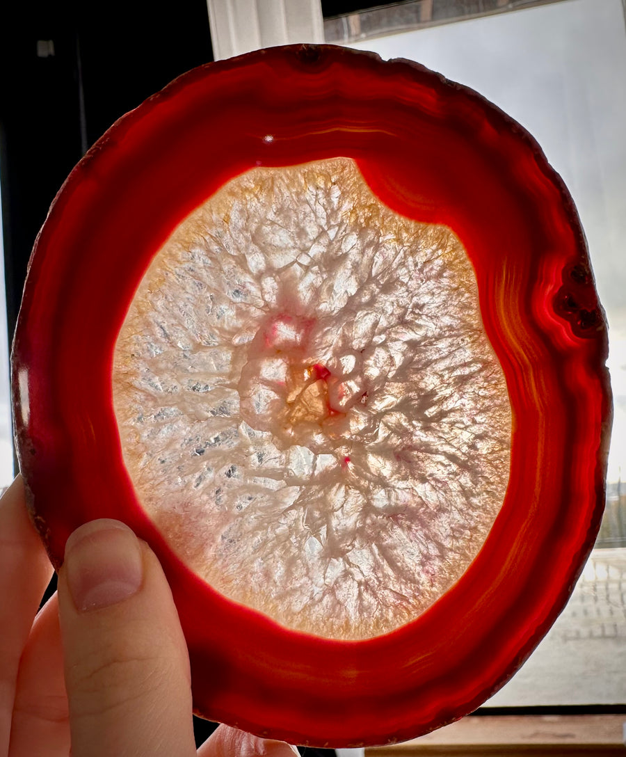 Brazilian Colorful Agate Slices (5 Pack)