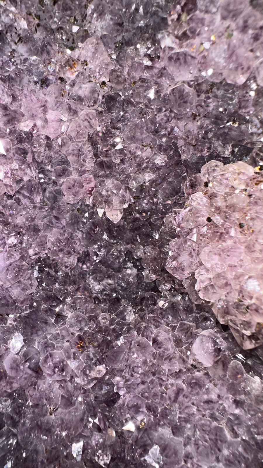 Starry Amethyst Cathedral 48.5 lbs & 22
